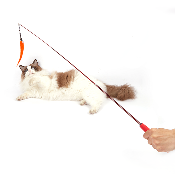 Cat Fishing Pole Toy, 1 Retractable Cat Wand 4 Hungary