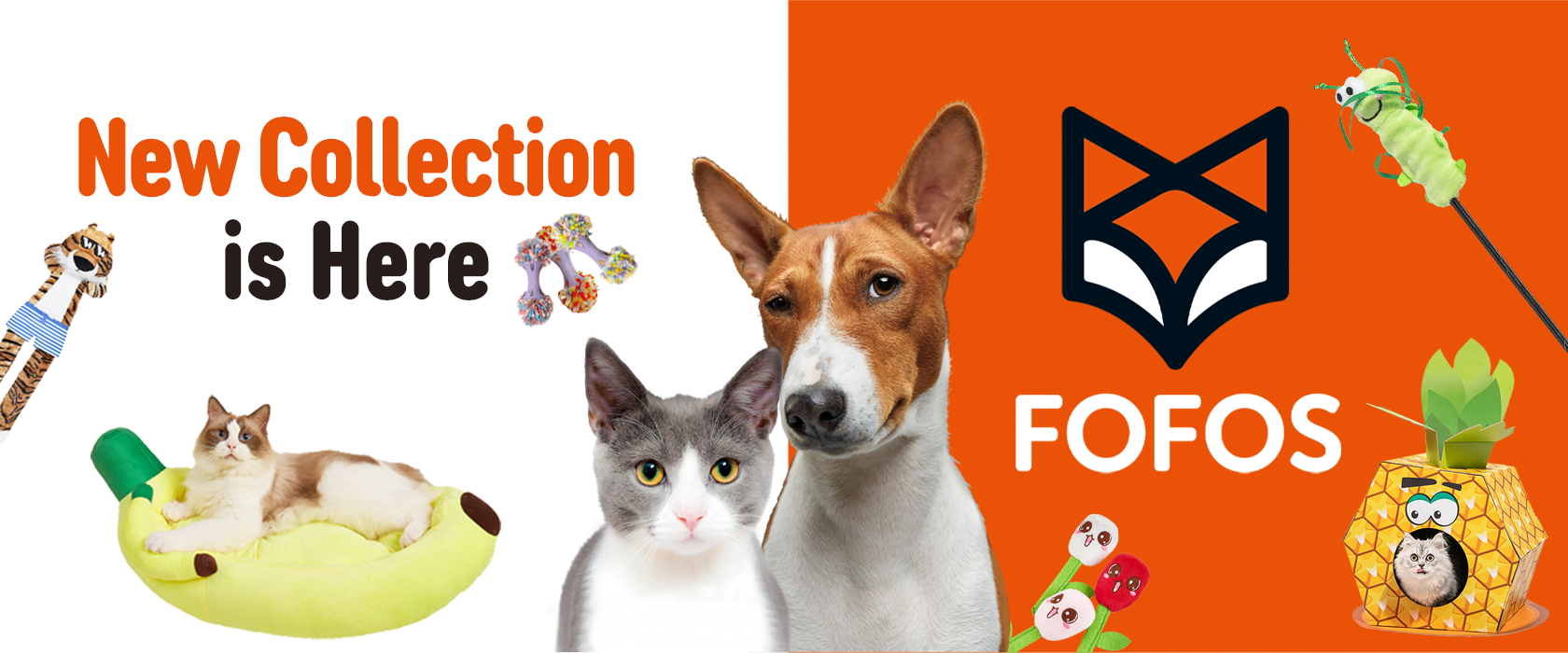 Best Companion Pet Supplies Trading